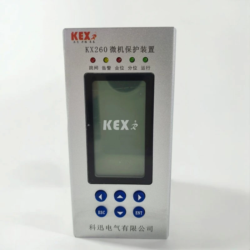 Microcomputer protection device